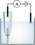 Graphical abstract: Nanopipettes: a potential tool for DNA detection