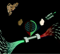 Graphical abstract: Assessing the efficiency of supercritical fluid extraction for the decontamination of archaeological bones prior to radiocarbon dating