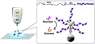 Graphical abstract: Ultrasensitive detection of prostate specific antigen using a personal glucose meter based on DNA-mediated immunoreaction