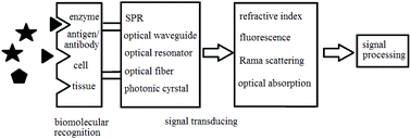 Graphical abstract: Optical biosensors: an exhaustive and comprehensive review