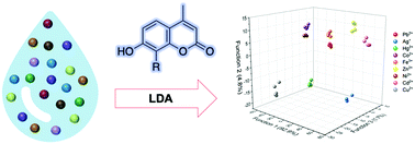 Graphical abstract: A fluorescent three-sensor array for heavy metals in environmental water sources