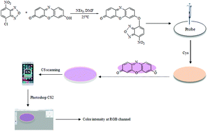 Graphical abstract: A paper-based colorimetric assay system for sensitive cysteine detection using a fluorescent probe