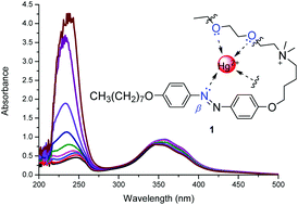 Graphical abstract: Selective mercury(ii) detection in aqueous solutions upon the absorption changes corresponding to the transition moments polarized along the short axis of an azobenzene chemosensor