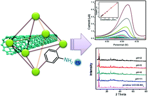 Graphical abstract: Preparation of a chemically stable metal–organic framework and multi-walled carbon nanotube composite as a high-performance electrocatalyst for the detection of lead