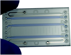 Graphical abstract: A lab-on-a-chip for free-flow electrophoretic preconcentration of viruses and gel electrophoretic DNA extraction