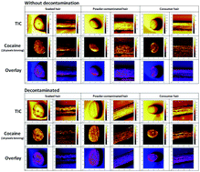 Graphical abstract: Using time-of-flight secondary ion mass spectrometry (ToF-SIMS) and matrix assisted laser desorption/ionization mass spectrometry (MALDI-MS) for investigations on single hair samples to solve the contamination versus incorporation issue of hair analysis in the case of cocaine and methadone