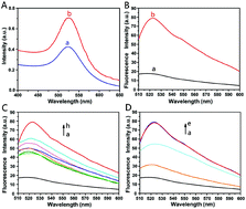 Graphical abstract: Application of a Y-type-DNA-functionalized nanogold probe featuring specific telomerase recognition and doxorubicin release in cancer cells