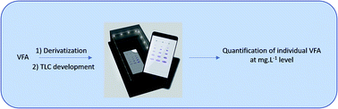 Graphical abstract: Development of a simple, low-cost and rapid thin-layer chromatography method for the determination of individual volatile fatty acids