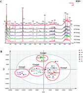 Graphical abstract: Metabolomics characterization of different geographical origins of Flos Carthami using UPLC-QTOF/MS and their correlation with climate factors