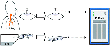 Graphical abstract: Analysis of volatile organic compounds from patients and cell lines for the validation of lung cancer biomarkers by proton-transfer-reaction mass spectrometry