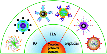 Graphical abstract: Ligand targeting and peptide functionalized polymers as non-viral carriers for gene therapy