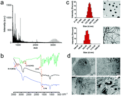 Graphical abstract: AIE/FRET-based versatile PEG-Pep-TPE/DOX nanoparticles for cancer therapy and real-time drug release monitoring