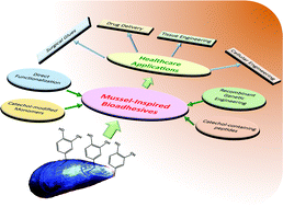Graphical abstract: Mussel-inspired bioadhesives in healthcare: design parameters, current trends, and future perspectives