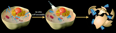 Graphical abstract: In situ self-assembly of conjugated polyelectrolytes for cancer targeted imaging and photodynamic therapy