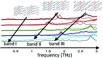 Graphical abstract: Correlation between saturated fatty acid chain-length and intermolecular forces determined with terahertz spectroscopy