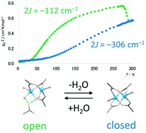 Graphical abstract: Crystal-to-crystal interconversion of open and closed dicopper(ii) paddle wheels in a heterotrimetallic coordination polymer