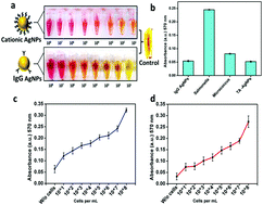 Graphical abstract: Rapid and sensitive colorimetric detection of pathogens based on silver–urease interactions