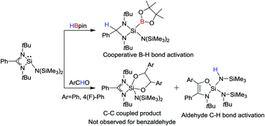 Graphical abstract: Silylene induced cooperative B–H bond activation and unprecedented aldehyde C–H bond splitting with amidinate ring expansion