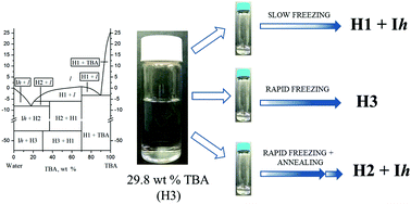 Graphical abstract: Discrepancy between thermodynamic and kinetic stabilities of the tert-butanol hydrates and its implication for obtaining pharmaceutical powders by freeze-drying