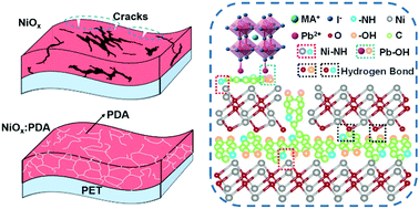 Graphical abstract: A bendable nickel oxide interfacial layer via polydopamine crosslinking for flexible perovskite solar cells