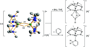 Graphical abstract: Cationic magnesium hydride [MgH]+ stabilized by an NNNN-type macrocycle