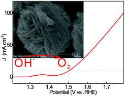 Graphical abstract: Fluorine anion-enriched nickel hydroxyl oxide as an efficient oxygen evolution reaction electrocatalyst