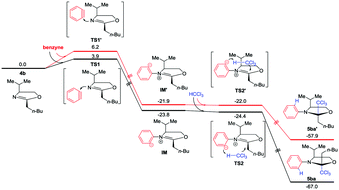 Graphical abstract: Benzyne-mediated trichloromethylation of chiral oxazolines