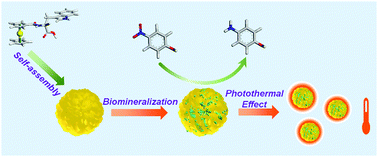 Graphical abstract: In situ fabrication of multifunctional gold–amino acid superstructures based on self-assembly