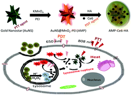 Graphical abstract: Layer-by-layer construction of an oxygen-generating photo-responsive nanomedicine for enhanced photothermal and photodynamic combination therapy