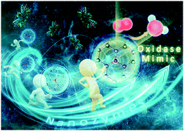 Graphical abstract: Elucidating the mechanism of the structure-dependent enzymatic activity of Fe–N/C oxidase mimics