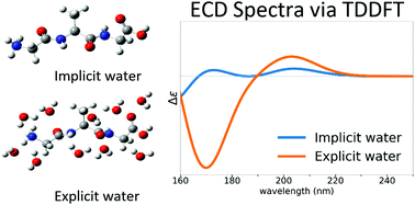 Graphical abstract: A new interpretation of the structure and solvent dependence of the far UV circular dichroism spectrum of short oligopeptides