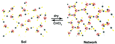 Graphical abstract: A supramolecular network derived by rotaxane tethering three ureido pyrimidinone groups
