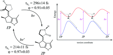 Graphical abstract: Design and photoisomerization dynamics of a new family of synthetic 2-stroke light driven molecular rotary motors