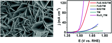 Graphical abstract: A novel FeS–NiS hybrid nanoarray: an efficient and durable electrocatalyst for alkaline water oxidation