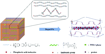 Graphical abstract: Toward enhanced conductivity of high-temperature proton exchange membranes: development of novel PIM-1 reinforced PBI alloy membranes