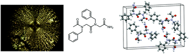 Graphical abstract: Crystallization and lamellar nanosheet formation of an aromatic dipeptoid