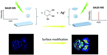 Graphical abstract: Enhancing surface-assisted laser desorption ionization mass spectrometry performance by integrating plasmonic hot-electron transfer effect through surface modification