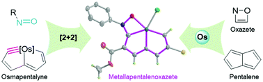Graphical abstract: Synthesis and characterization of metallapentalenoxazetes by the [2+2] cycloaddition of metallapentalynes with nitrosoarenes