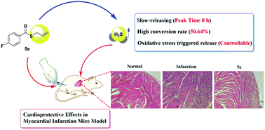 Graphical abstract: Controllable thioester-based hydrogen sulfide slow-releasing donors as cardioprotective agents