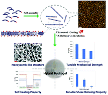Graphical abstract: A self-assembled peptidic nanomillipede to fabricate a tuneable hybrid hydrogel