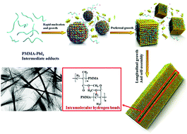 Graphical abstract: Solution-phase synthesis of CsPbI3 nanowire clusters via polymer-induced anisotropic growth and self-assembly