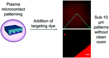 Graphical abstract: Covalently bound monolayer patterns obtained by plasma etching on glass surfaces
