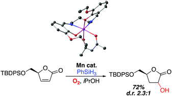 Graphical abstract: An effective cis-β-octahedral Mn(iii) SALPN catalyst for the Mukaiyama–Isayama hydration of α,β-unsaturated esters