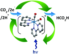 Graphical abstract: An integrated Re(i) photocatalyst/sensitizer that activates the formation of formic acid from reduction of CO2
