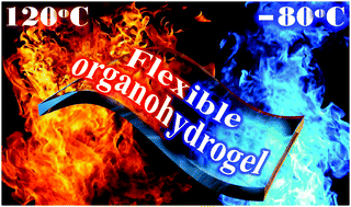Graphical abstract: Robust organohydrogel with flexibility and conductivity across the freezing and boiling temperatures of water