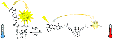Graphical abstract: A calixarene-based fluorescent ratiometric temperature probe