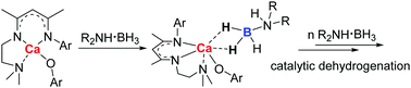 Graphical abstract: Stoichiometric reactions and catalytic dehydrogenations of amine–boranes with calcium aryloxide