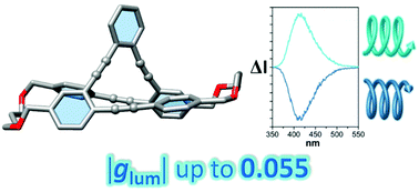 Graphical abstract: Chiral double stapled o-OPEs with intense circularly polarized luminescence