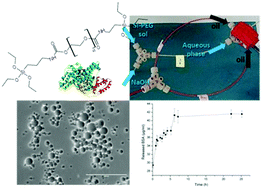 Graphical abstract: Combining sol–gel and microfluidics processes for the synthesis of protein-containing hybrid microgels