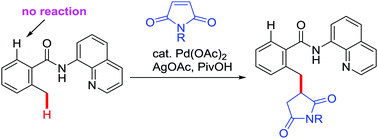 Graphical abstract: The Pd-catalyzed C–H alkylation of ortho-methyl-substituted aromatic amides with maleimide occurs preferentially at the ortho-methyl C–H bond over the ortho-C–H bond